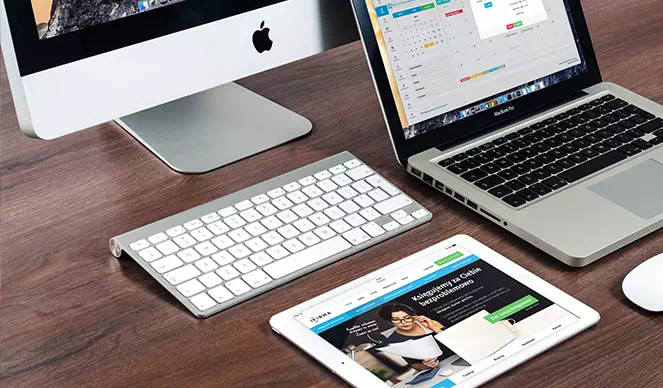 Wordpress Development